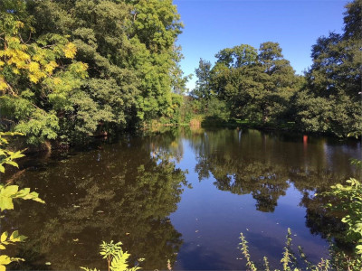 Naturskönt Boarpsvägen 1
