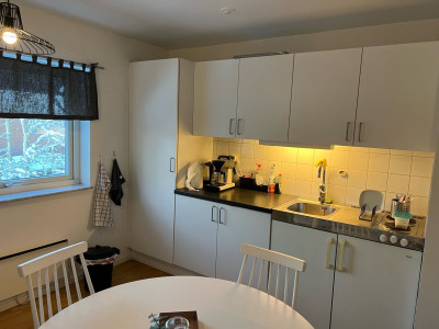 Pentry Fågel Fenix väg 3