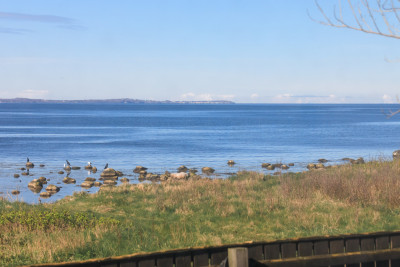 Utsikt över stranden Strandlyckevägen 17