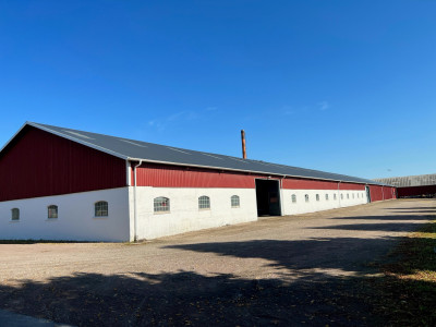 Lager 1 Signestorps gård 200