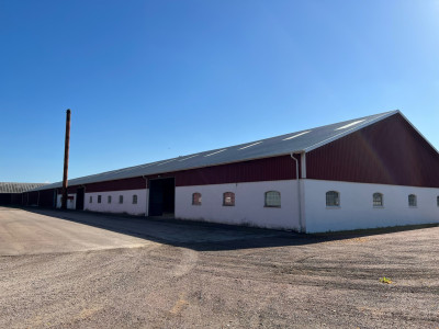 Lager 1 Signestorps gård 200